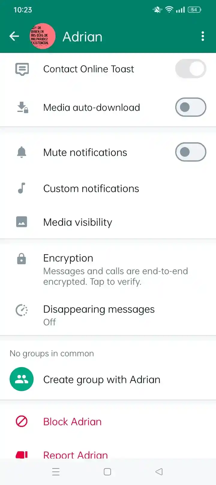 GB WhatsApp other features